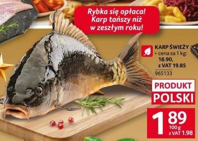 Karp świeży promocja w Selgros