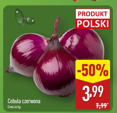 Cebula czerwona promocja w Aldi