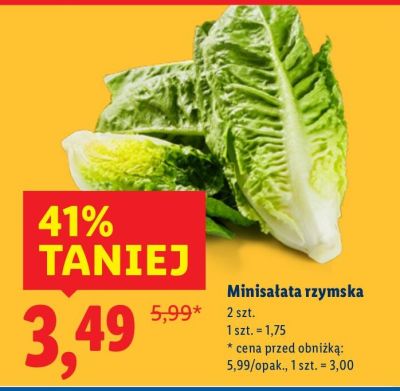 Minisałata rzymska promocja w Lidl