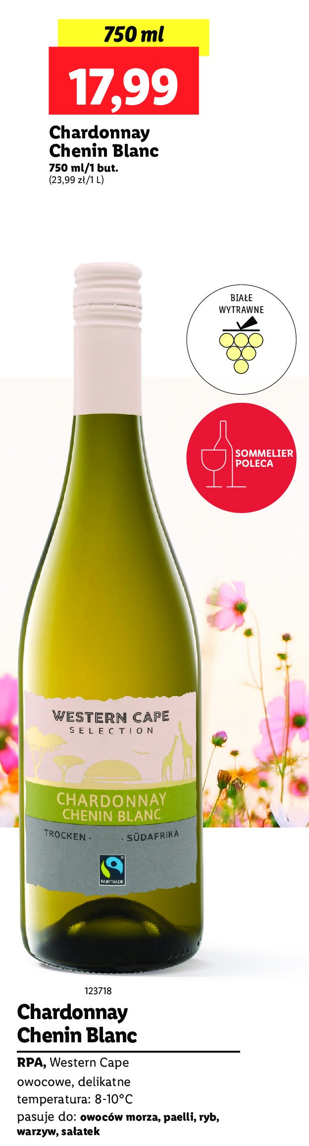Wino Western cape selection promocja
