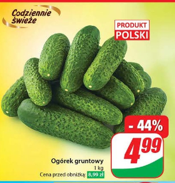 Ogórek gruntowy polska promocja w Dino
