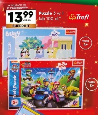 Puzzle 3 w 1 lub 100 el. różne rodzaje promocja w Biedronka