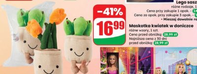 Maskotka kwiatek w doniczce różne wzory promocja w Dino