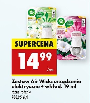 Urządzenie + wkład białe kwiaty Air wick electric essential oils promocja w Biedronka