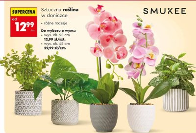 Sztuczna roślina w doniczce różne rodzaje wysokość ok. 42 cm promocja w Biedronka