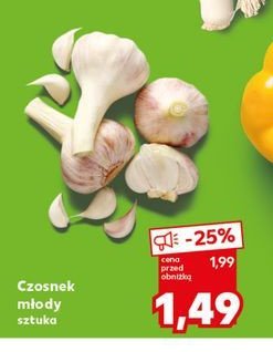 Czosnek młody promocja w Kaufland