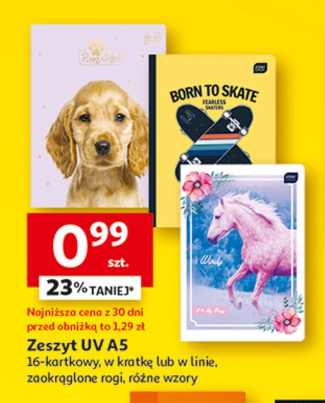 Zeszyt a5/16 uv kratka Interdruk promocja