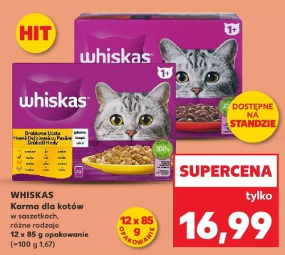 Karma dla kotów promocja w Kaufland