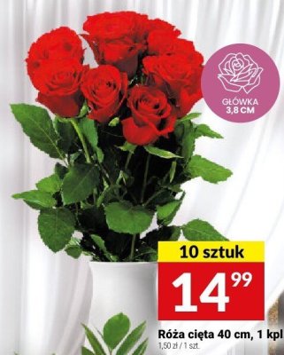 Róża cięta 40 cm, 1 kpl. promocja w Twój Market