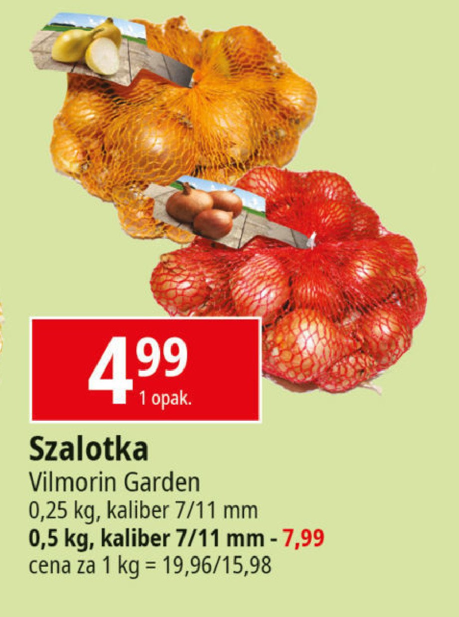 Cebula szalotka Vilmorin garden promocja
