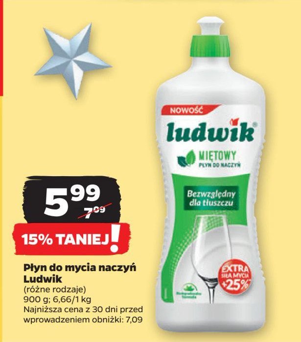 Płyn do naczyń miętowy Ludwik promocja w Netto