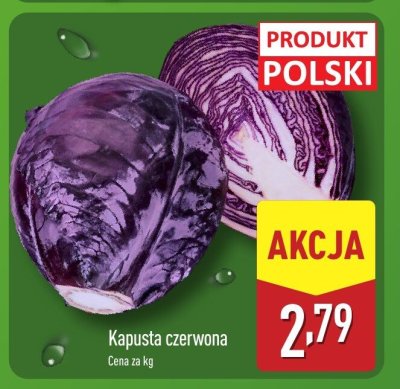 Kapusta czerwona promocja w Aldi