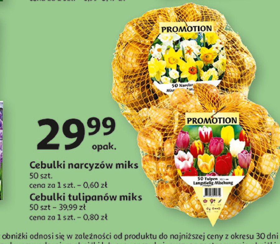 Cebulki tulipanów miks promocja