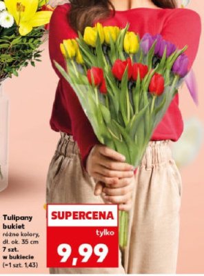 Tulipany bukiet 7 szt. promocja w Kaufland