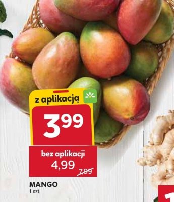 Mango Stokrotka promocja w Stokrotka