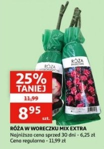 Ro偶a w woreczku promocja