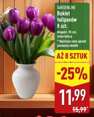 Bukiet tulipanów 8 szt. promocja w Aldi