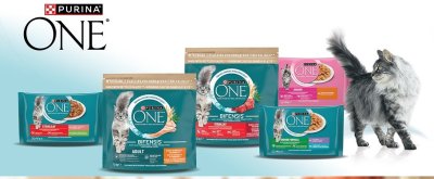 Karma Purina ONE dla kotów, różne rodzaje promocja w Biedronka
