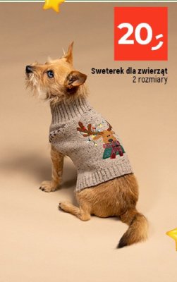 Sweterek dla zwierząt promocja w Dealz