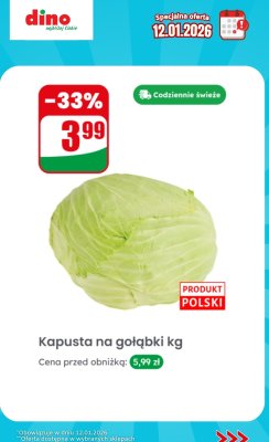 Kapusta na gołąbki  promocja w Dino