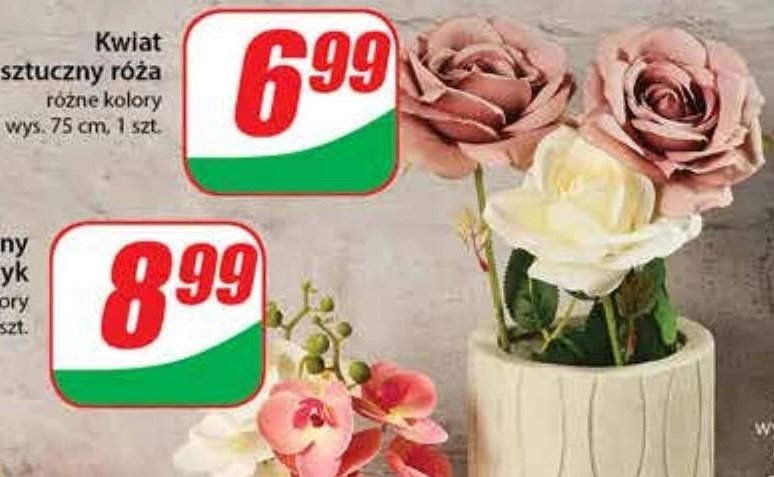 R贸偶a 75 cm promocja