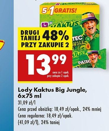 Lody big jungle patec Nestle kaktus promocja w Biedronka