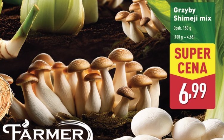 Grzyby shimeji promocja w Aldi