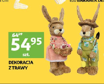 Dekoracja z trawy promocja