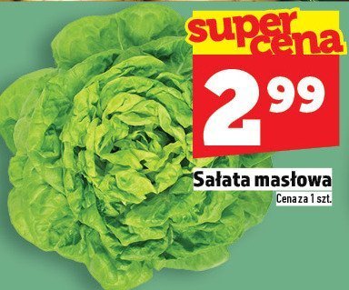 Sałata masłowa promocja w TOPAZ