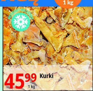 Kurki promocja w Selgros