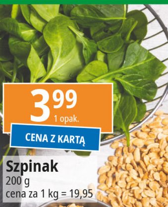 Szpinak promocja