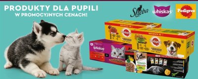 Okazje tygodnia od 10.11, strona 45 promocja w Biedronka