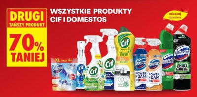 Środki czystości wszystkie rodzaje promocja w Biedronka
