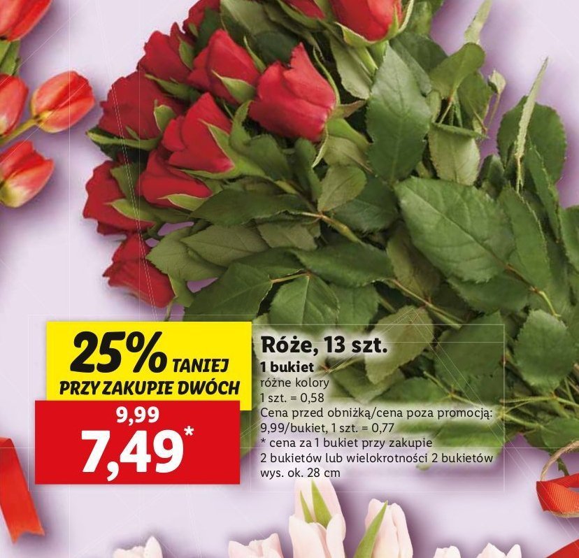 Róże promocja