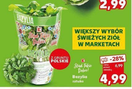 Bazylia K-classic stąd takie dobre! promocja
