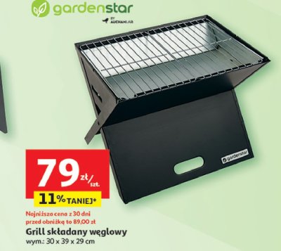 Grill składany 30 x 39 x 29 cm Garden star promocja