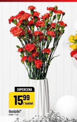 Goździki bukiet 7 szt. promocja w POLOmarket