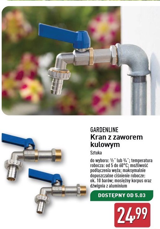 Kran z zaworem kulowym 3/4 GARDEN LINE promocja w Aldi