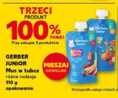Mus w tubce Junior wszystkie rodzaje 110 g promocja w Kaufland
