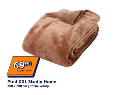 Pled XXL Studio Home 300 x 280 cm różne kolory promocja w Action