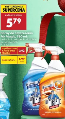 Spray do czyszczenia Mr Magic, 750 ml do łazienki promocja w Biedronka