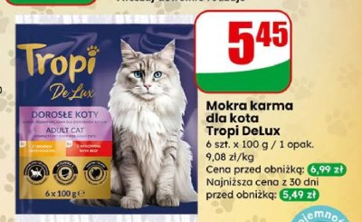 Mokra karma dla kota DeLux promocja w Dino