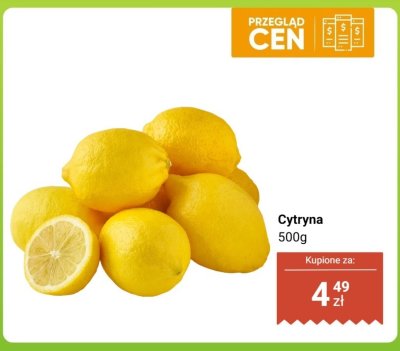 Cytryna promocja w Dino