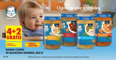 Dania i zupki w słoiczku 250 g 4+2 GRATIS promocja w Biedronka