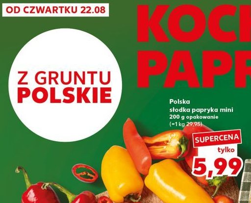 Papryka słodka mini promocja