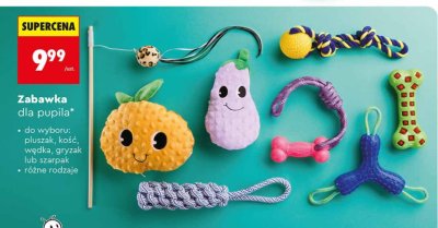 Zabawka dla pupila szarpak promocja w Biedronka