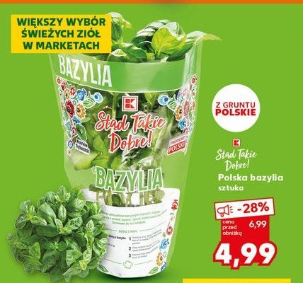 Bazylia K-classic st膮d takie dobre! promocja