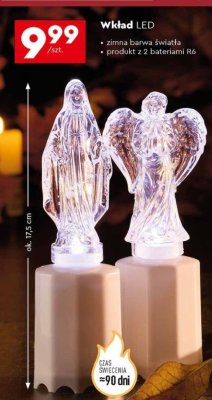 Wkład LED zimna barwa światła Cortina promocja w Biedronka