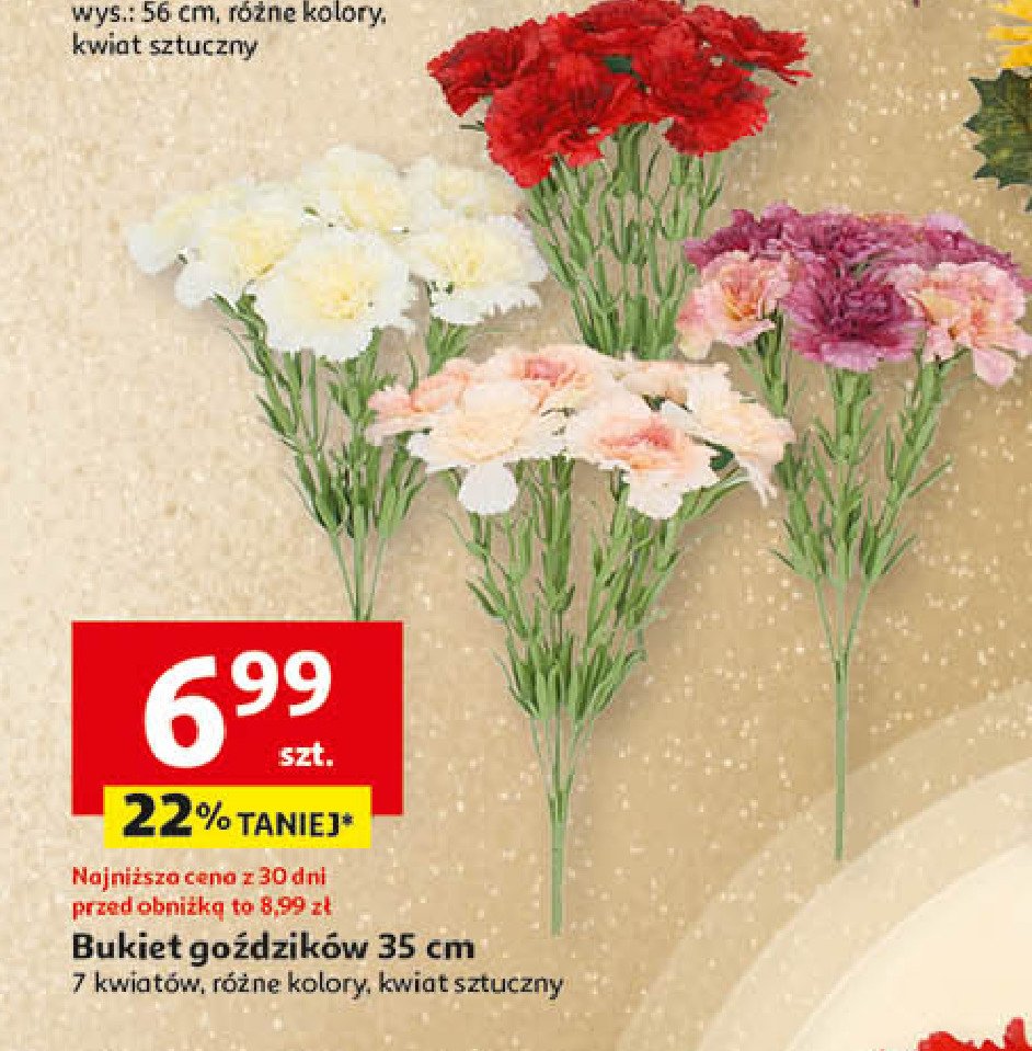 Goździki 35 cm promocja