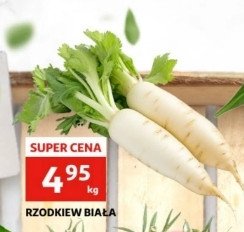 Rzodkiewka bia艂a promocja
